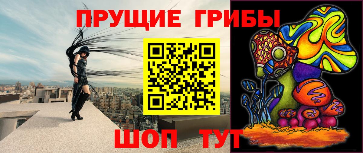 Алатырь  Галлюциногенные грибы GOLDEN TEACHER  Вход с VPN 